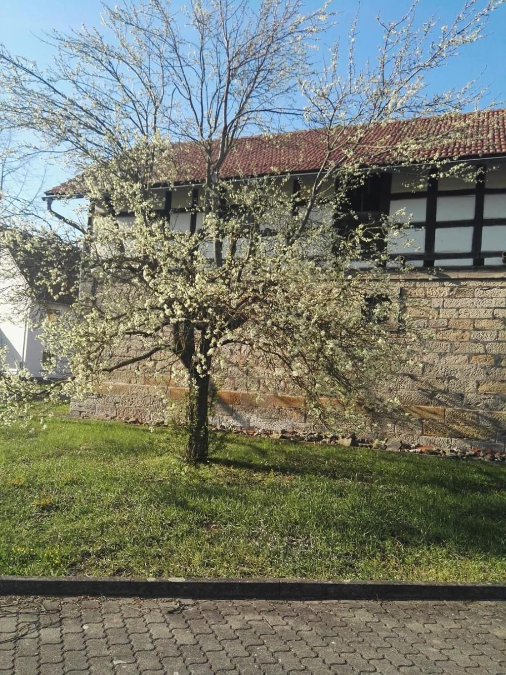 Sulzdorf an der Lederhecke Gaestehaus Zum Gesundheitszentrum Matz מראה חיצוני תמונה